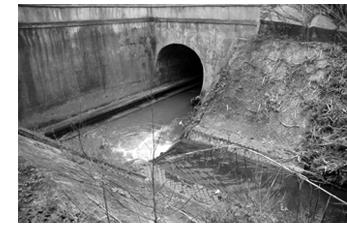 Padre Guido Chiaravalli