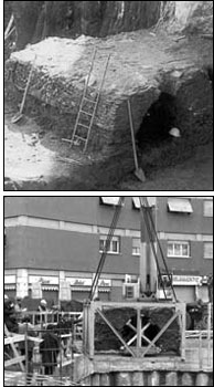 Ponticello Piazza Biffi