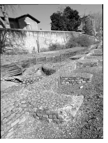 Camp8: via al campo due di volontariato nel Municipio