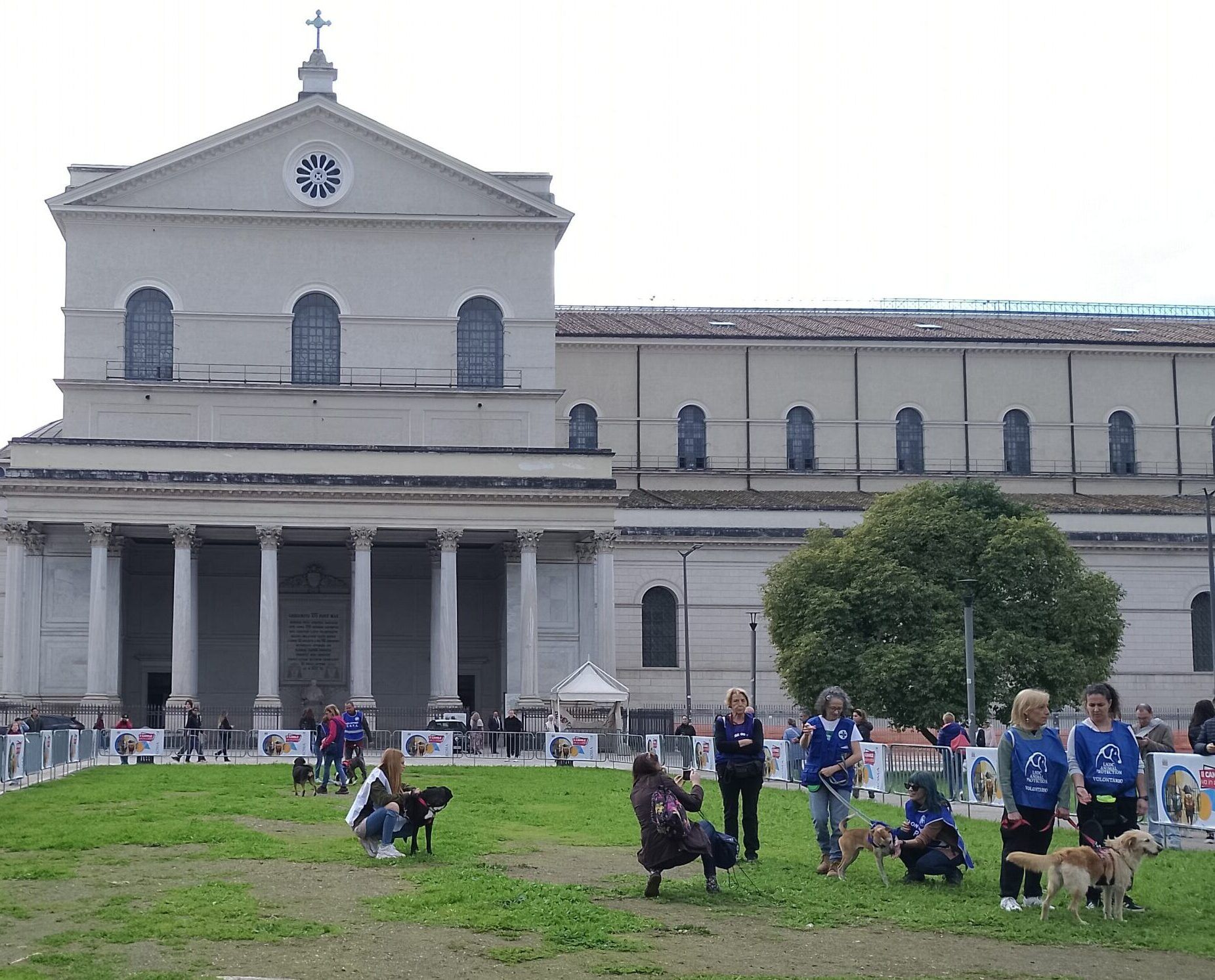 "Il canile va in città"