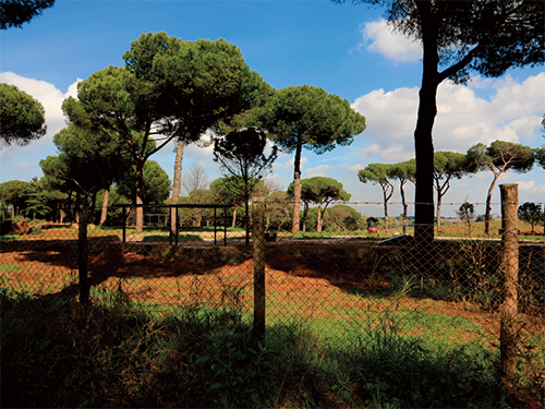 via di Grotta Perfetta