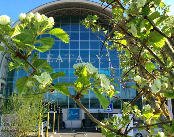 Schermata 2019-04-18 alle 14.26.55