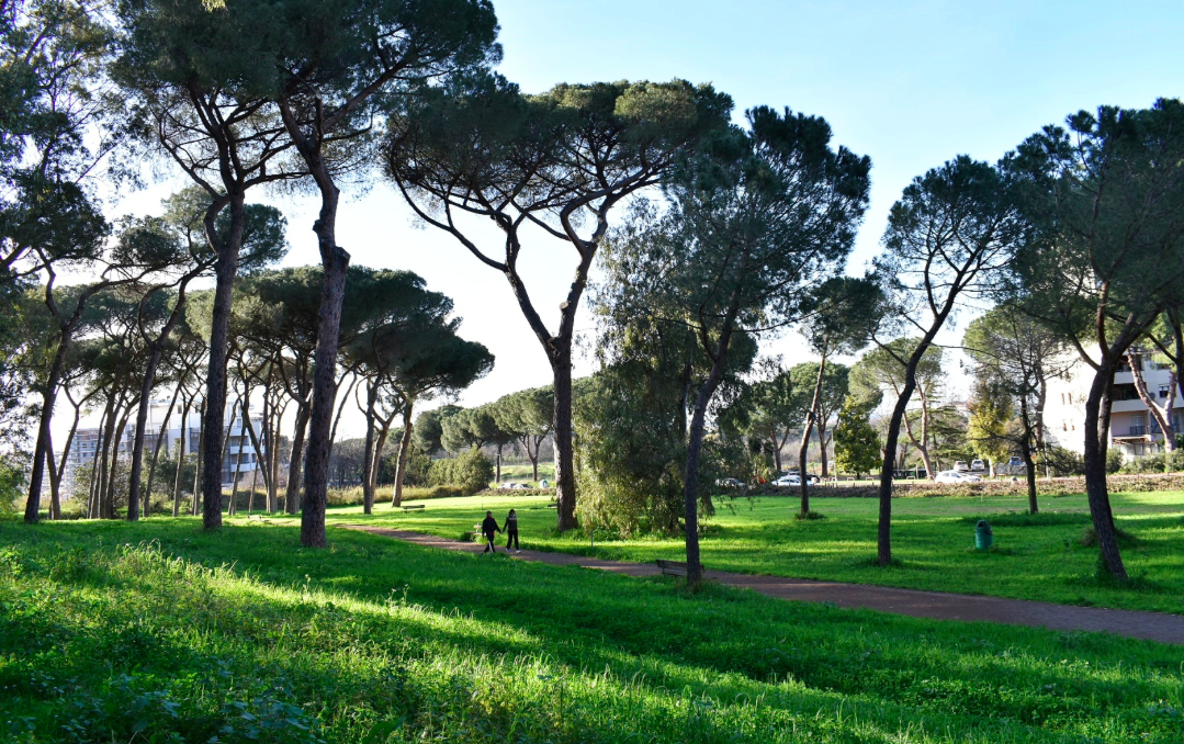 Schermata 2019-10-04 alle 02.18.34