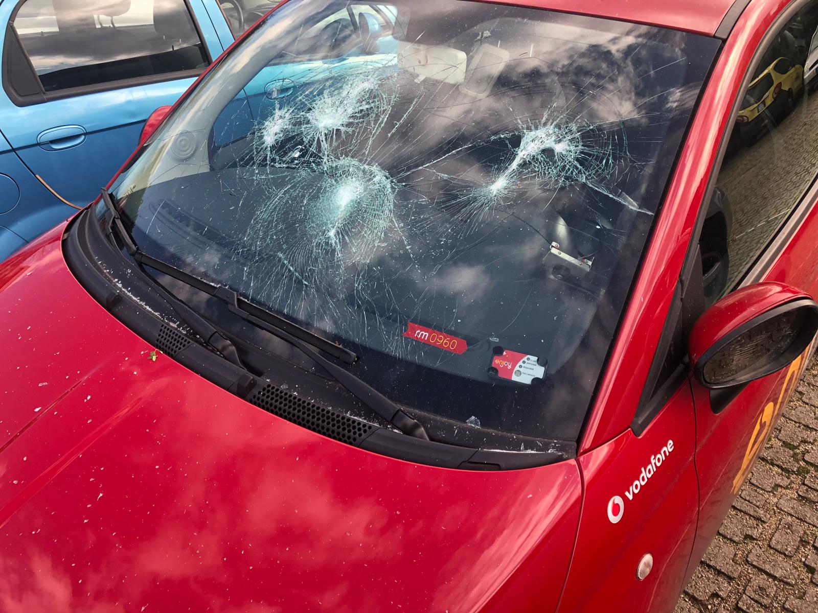 WhatsApp Image 2019-11-13 at 11.58.33