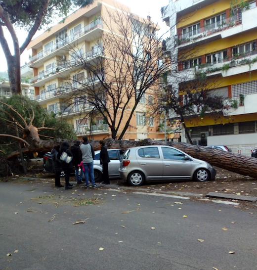 Schermata 2019-12-23 alle 14.59.40