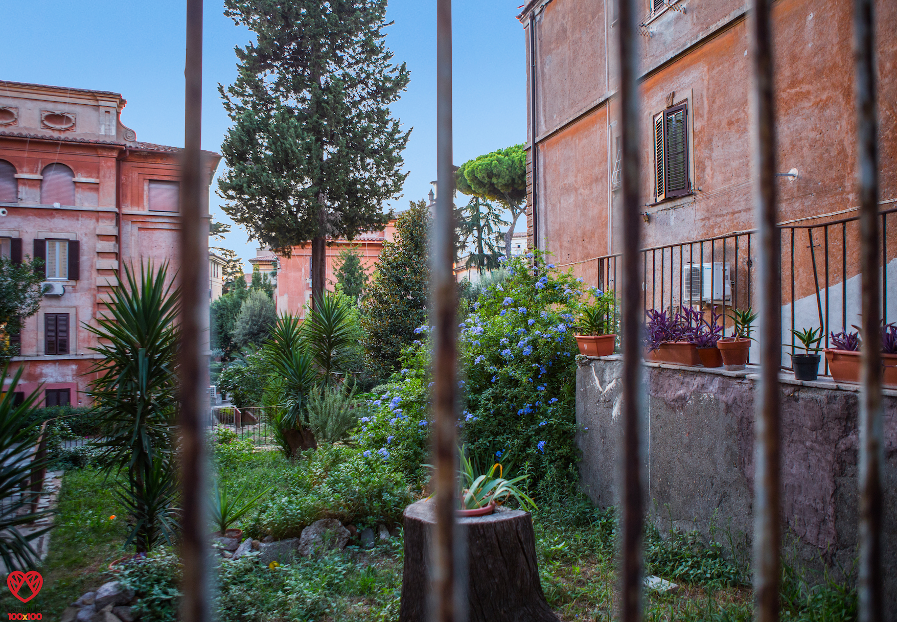 Foto di Francesco Proietti Mercuri