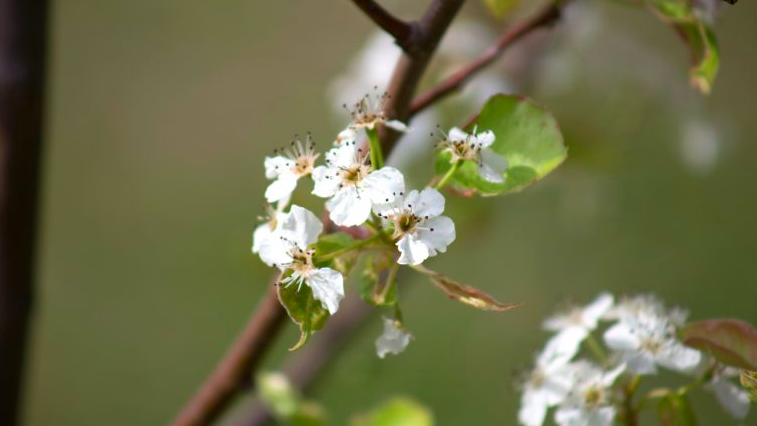 Schermata 2020-04-16 alle 20.22.39