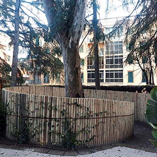 Il giardino invisibile: uno spazio multisensoriale all’Istituto Sant’Alessio Giardino-2c