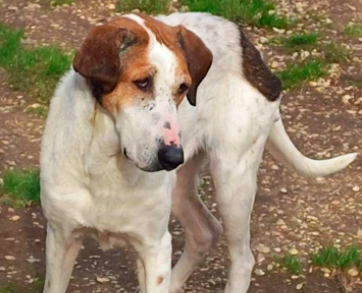 Schermata 2022-04-16 alle 20.28.31