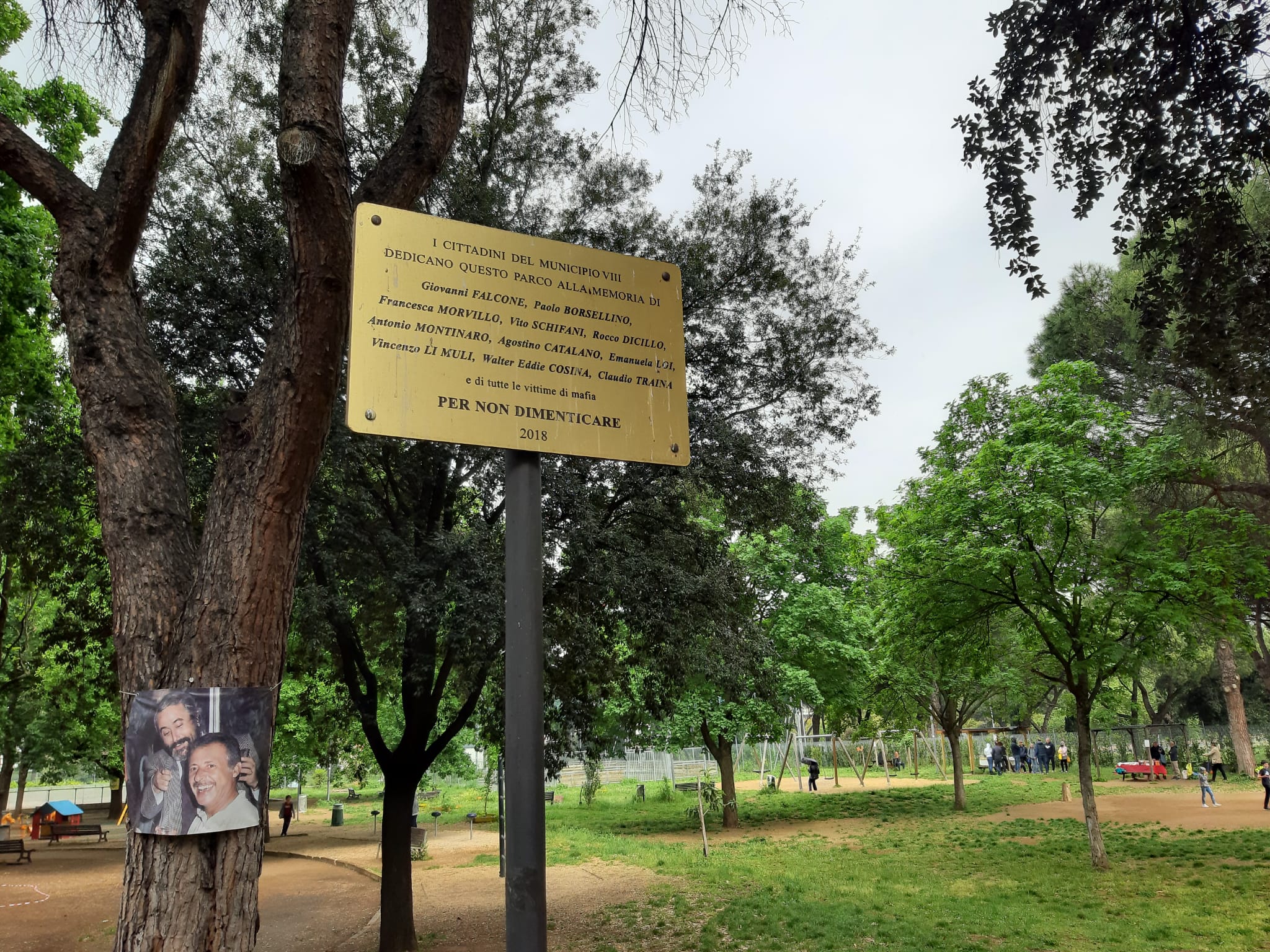 Furto Albero parco Falcone Borsellino – 1 – parco