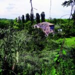 CaraGarbatella2023GiugnoFig1