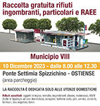 Rifiuti ingombranti Carte Identità