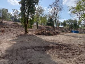 Tor marancia dopo gli interventi