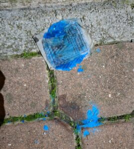 veleno per topi via Omboni